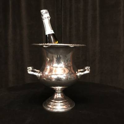 Champagne Ice Buckets