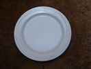 Dinner Plate - 10.5 inch